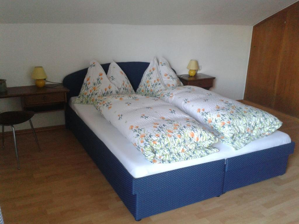 Appartement Haus Elisabeth à Mittersill Extérieur photo