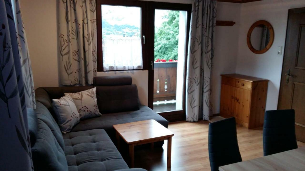 Appartement Haus Elisabeth à Mittersill Extérieur photo
